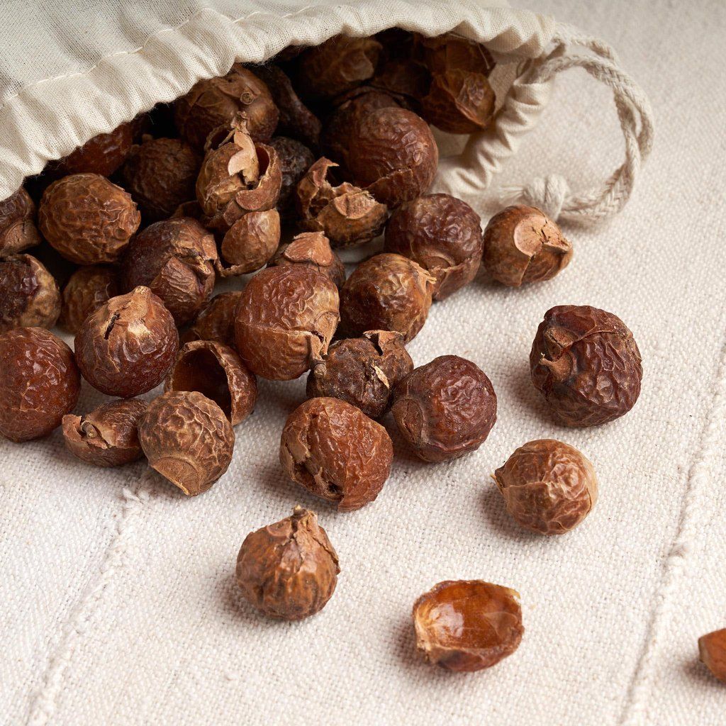 Premium Soapnuts